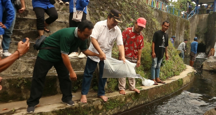Restocking Ikan oleh Kepala Desa Pandak