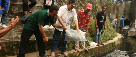 Restocking Ikan oleh Kepala Desa Pandak